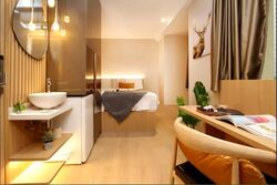 Orchard Road (D9), Apartment #549180731